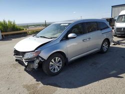 Salvage cars for sale at Albuquerque, NM auction: 2014 Honda Odyssey EXL