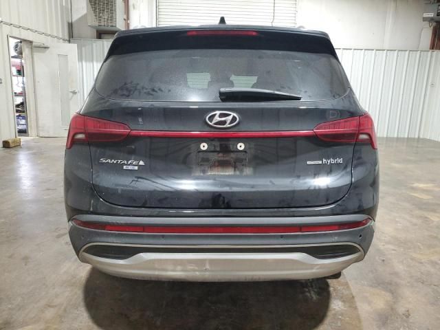 2023 Hyundai Santa FE Blue