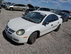 Salvage cars for sale from Copart Tucson, AZ: 2003 Dodge Neon SE