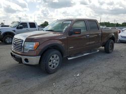 Salvage cars for sale at Indianapolis, IN auction: 2012 Ford F150 Supercrew