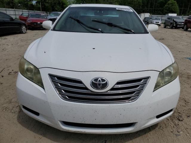 2009 Toyota Camry Hybrid