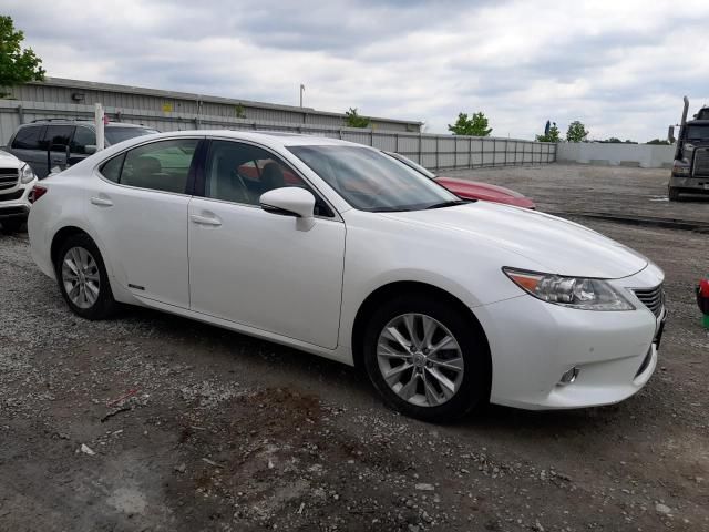 2013 Lexus ES 300H