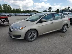 Ford Focus salvage cars for sale: 2017 Ford Focus SE