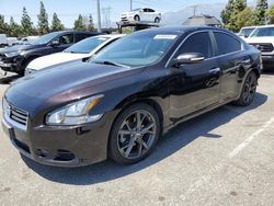 Salvage cars for sale from Copart Rancho Cucamonga, CA: 2014 Nissan Maxima S