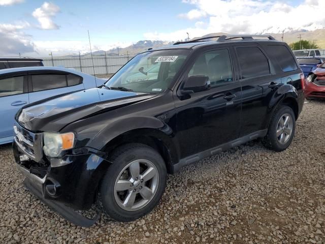 2010 Ford Escape Limited