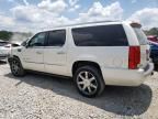 2010 Cadillac Escalade ESV Premium