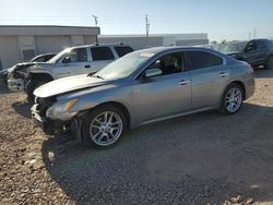 Salvage cars for sale from Copart Phoenix, AZ: 2009 Nissan Maxima S