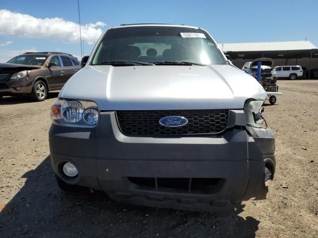 2007 Ford Escape XLT