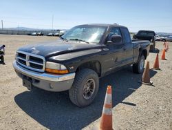 Salvage cars for sale from Copart Vallejo, CA: 2000 Dodge Dakota