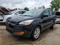 Salvage cars for sale from Copart Bridgeton, MO: 2013 Ford Escape S