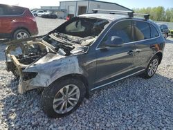 Salvage cars for sale at Wayland, MI auction: 2014 Audi Q5 Premium Plus