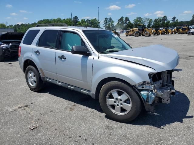 2011 Ford Escape XLT