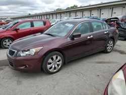 Salvage cars for sale from Copart Louisville, KY: 2010 Honda Accord EXL