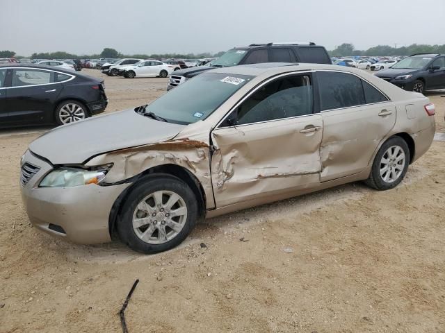 2009 Toyota Camry Hybrid