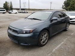 Scion salvage cars for sale: 2007 Scion TC