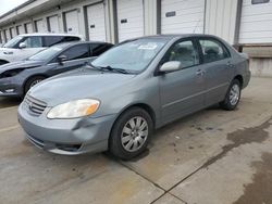 Salvage cars for sale at Louisville, KY auction: 2004 Toyota Corolla CE
