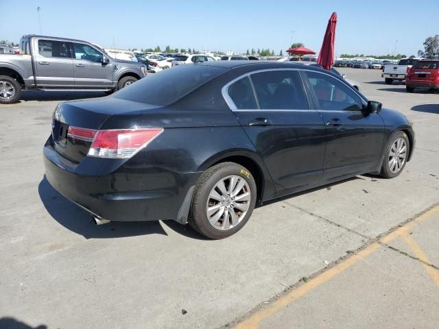 2011 Honda Accord EXL