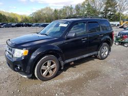 Vehiculos salvage en venta de Copart North Billerica, MA: 2011 Ford Escape XLT