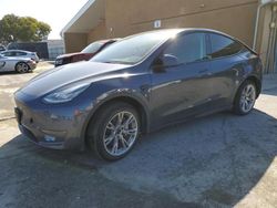 Salvage cars for sale from Copart Hayward, CA: 2021 Tesla Model Y