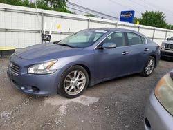 Salvage cars for sale at Walton, KY auction: 2010 Nissan Maxima S