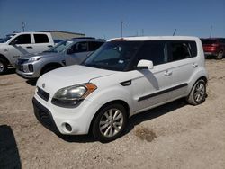 Salvage cars for sale at Temple, TX auction: 2013 KIA Soul