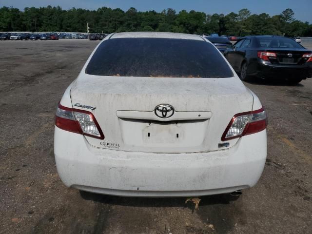 2009 Toyota Camry Hybrid