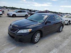 Salvage cars for sale from Copart Arcadia, FL: 2010 Toyota Camry Base