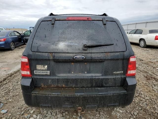 2009 Ford Escape XLT