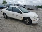 2005 Dodge Neon SXT