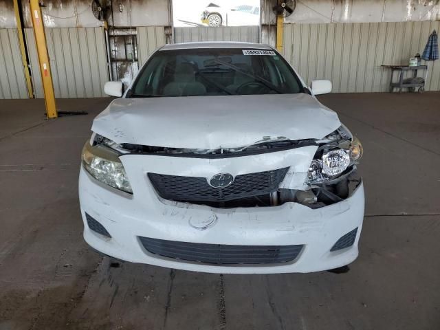 2009 Toyota Corolla Base