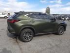 2024 Lexus NX 350H Base