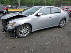 Nissan salvage cars for sale: 2010 Nissan Maxima S