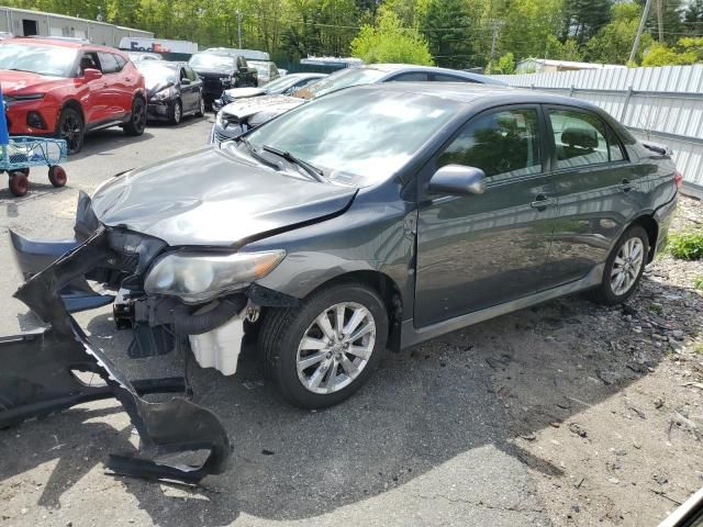 2009 Toyota Corolla Base