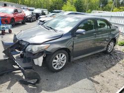 Toyota salvage cars for sale: 2009 Toyota Corolla Base