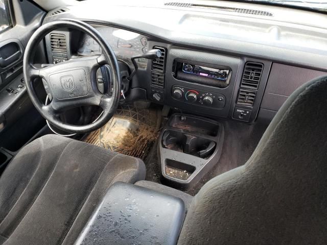 2004 Dodge Dakota SLT