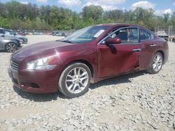 Salvage cars for sale at Waldorf, MD auction: 2010 Nissan Maxima S