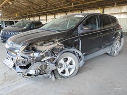 Salvage cars for sale at Phoenix, AZ auction: 2013 Ford Escape SE