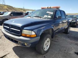 Salvage cars for sale from Copart Littleton, CO: 2003 Dodge Dakota Quad Sport