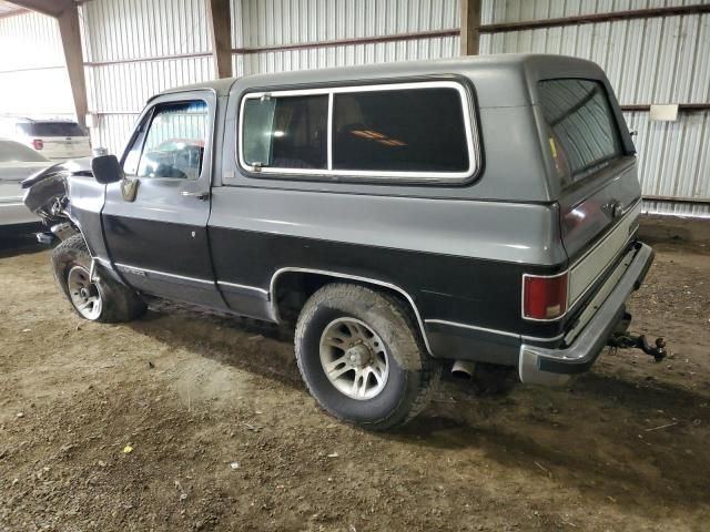 1989 Chevrolet Blazer V10