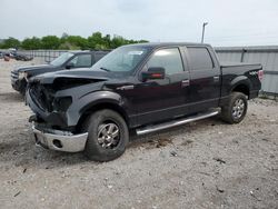 Salvage cars for sale at Lawrenceburg, KY auction: 2014 Ford F150 Supercrew