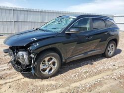 Salvage cars for sale at Houston, TX auction: 2024 Hyundai Tucson SEL