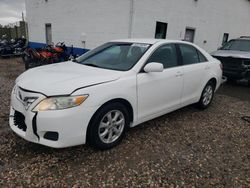 Salvage cars for sale at Farr West, UT auction: 2011 Toyota Camry Base