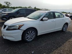 Salvage cars for sale at Des Moines, IA auction: 2011 Honda Accord EXL