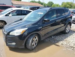 Vehiculos salvage en venta de Copart Columbus, OH: 2016 Ford Escape SE