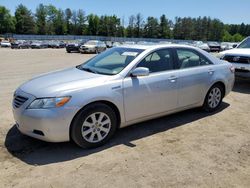 Salvage cars for sale at Finksburg, MD auction: 2009 Toyota Camry Hybrid
