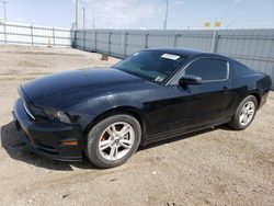 Salvage cars for sale at Greenwood, NE auction: 2014 Ford Mustang