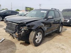 Salvage cars for sale at Chicago Heights, IL auction: 2011 Ford Escape XLT