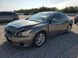 Salvage cars for sale from Copart New Braunfels, TX: 2009 Nissan Maxima S