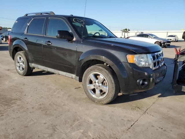 2011 Ford Escape Limited