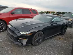 Salvage cars for sale at Madisonville, TN auction: 2023 Ford Mustang